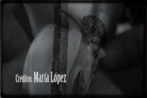 Una alumna de la EAA recibe un premio Ícaro