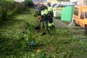 Comienza la limpieza de choque de verano