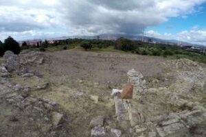 El enclave arqueológico de Carteia programa sus actividades de primavera