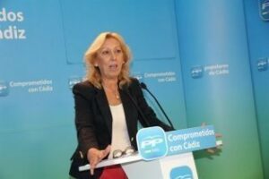 PP afirma que "la realidad" de la Junta en la provincia es que "recorta, falta personal sanitario y cierra camas"