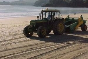 IU pregunta por la fecha en la que estarán los servicios de playas