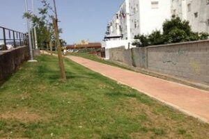 Parques y Jardines crea nuevas zonas verdes en Beata Teresa Jornet y Averroes