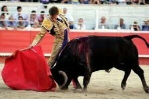 Los toreros de la Feria: Fandiño un vasco figura del toreo
