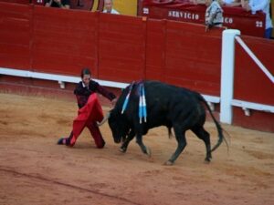 Ligero triunfo de Castella con el mejor lote de Fuente Ymbro (Galería interior)