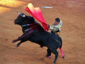 Las Palomas a toro pasao": Por Antonio Rodríguez