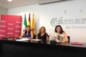 Conesa presenta el diagnóstico de conciliación y corresponsabilidad emanados del plan Conciliam