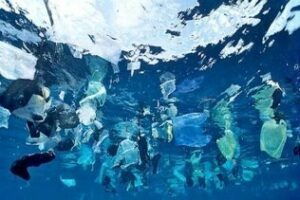 Investigadores de la UCA demuestran la existencia de grandes acumulaciones de plástico en los océanos