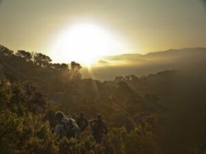 Colectivos critican que la Junta no fije una reunión sobre La Almoraima