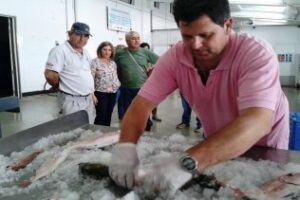 El PSOE recaba el apoyo de la Diputación para establecer una Reserva Marina frente a Conil