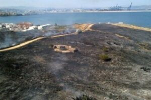 El PSOE exige al PP que espabile para evitar nuevos incidentes como el del parque del centenario