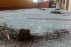 Yo reportero: Vandalismo en el centro de Algeciras
