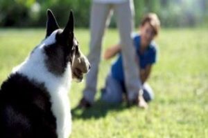 Campaña de concienciación de recogida de excrementos en Algeciras