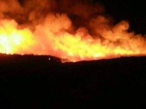 Desalojadas un veintena de personas de un centro toxicómano por un incendio forestal en San Roque