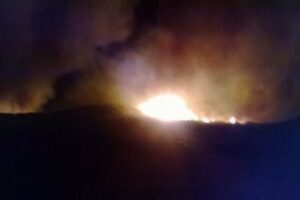 Ayuntamiento de San Roque lamenta el incendio forestal y dice que "todo indica" que ha sido provocado