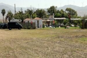 La Fiscalía abre diligencias por conciertos en Tarifa