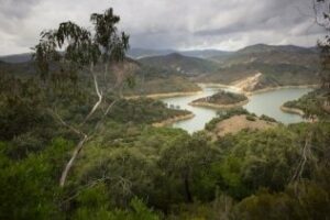 La Almoraima ya no está en venta" tras ganar en el último año 319.000 euros