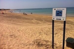 Incómodas: Rota la primera ciudad gaditana con playas para perros ¿qué piensa?