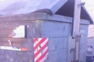 IU reclama actuaciones que den respuesta a las quejas ciudadanas en el servicio de limpieza