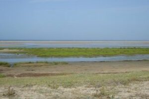 Ecologistas en Acción otorga siete banderas negras y tres puntos negros al Campo de Gibraltar