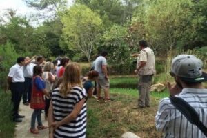 Más de 40 profesionales participan en las Jornadas sobre Ornitología en el Estrecho