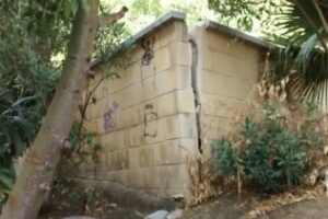 El PSOE reclama atención para la calle Amadeo Vives