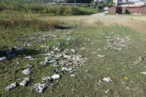 Rinconcillo Existe denuncia falta de limpieza en La Concha