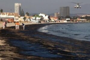 Verdemar insta a la Fiscalía provincial a que destine más medios para evitar delitos ecológicos