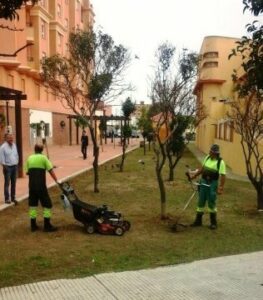 Contratación de 277 jóvenes desempleados en Algeciras