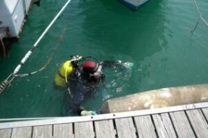 CCOO ofrece 12 nuevos cursos en el campo de Gibralar para personas ocupadas