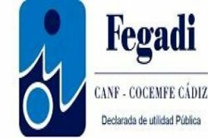 FEGADI y COCEMFE saludan la entrada de los dependientes moderados en el sistema
