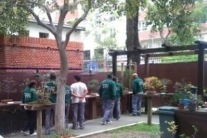Alumnos de la escuela taller El Chaparral visitan el Jardín de los bonsáis"