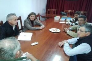 El PSOE solicita el apoyo de la Diputación para salvar a la oveja merina de Grazalema