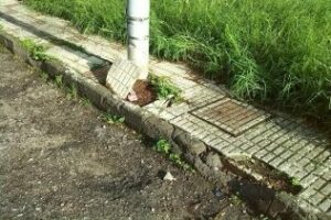 "El PP apuesta por la propaganda para intentar tapar su dejadez con las barriadas"