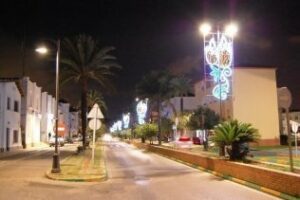 Sitelec dona a Cáritas 50 entradas para la I Gala Musical Frozen