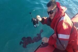 La Policía denuncia a 62 por presuntos delitos medioambientales en la provincia