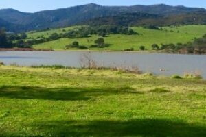 Suspendidos el Día del monopatín y la limpieza del Monte de la Torre por la lluvia