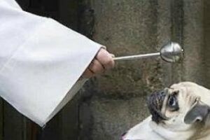 San Antón bendecirá a los animales en Algeciras este sábado