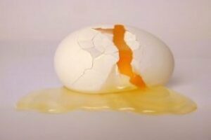 Isabella,diario de una superviviente: "Qué Coraje...."