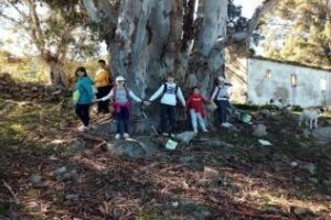 La Delegación de Turismo ha programado dos salidas por rutas naturales para el fin de semana