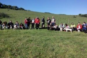 La II Ruta de Senderismo con Perro será gratuita y el 8 de febrero