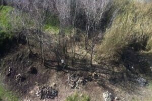 Yo reportero: Daño ecológico en la ribera del Guadiaro