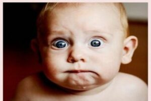 Isabella,diario de una superviviente: Anonadada