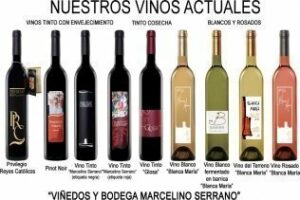 Cata maridada en Algeciras el próximo día 18