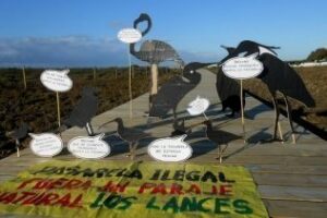 Agaden tira de humor para denunciar la pasarela ilegal del paraje natural de Los Lances