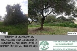 Pregunta Incómoda: ¿Vecinos implicados?