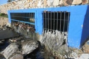 La Junta recuerda que "la salubridad de las playas son competencias del Ayuntamiento"