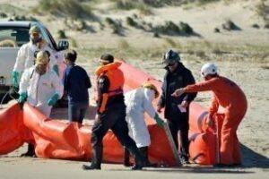 La comarca no tiene medios para afrontar un accidente industrial