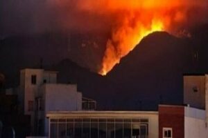 La mitad de los incendios que se produjeron en 2014 en la provincia fueron intencionados