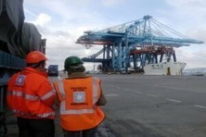 Los estibadores de Algeciras deberán acreditar tres años de experiencia y 2.000 horas trabajadas