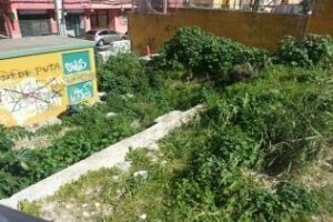 El PA reclama mejoras para la Cuesta del Rayo